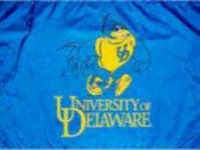 Delaware Blue Hens Flag - Stadium