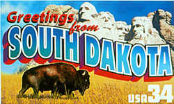 South Dakota Greeting: South Dakota's best-known landmark, the sculpted heads of four presidents on Mount Rushmore, overlooks a lone bison in a field of golden grass in Badlands National Park.