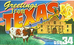 Texas Greeting: depicting the Alamo in San Antonio and a yellow rose, the state flower. Rather than duplicate the saguaro cactus plants on the Arizona stamp, however, Busch replaced the cacti in his original version with a Texas longhorn.