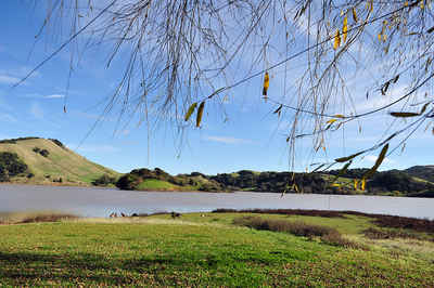 California Landscape