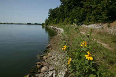 Illinois Landscape