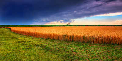 Kansas Landscape