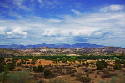 New Mexico Landscape