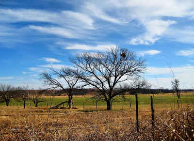 Oklahoma Landscape