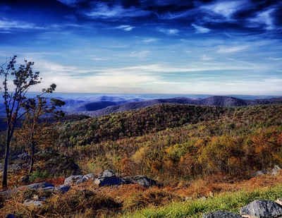 Virginia Landscape