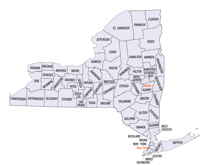 New York County map