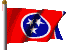 Tennessee Early History: Tennessee Flag