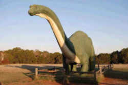 Texas State Dinosaur - Quadrupedal Sauropod 