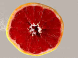 Texas Red Grapefruit: Texas State Fruit