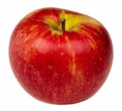 Honeycrisp™ Apple: Minnesota State Fruit