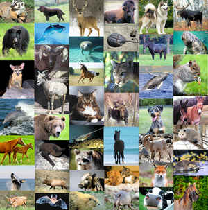 State Mammals & Animals