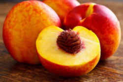 Alabama State Tree Fruit: Peach (Rosacea, genus Prunus, Species P. persica)