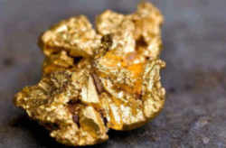 Alaska State Mineral: Gold