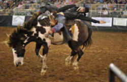 Florida State Rodeo - The Silver Spurs Rodeo
