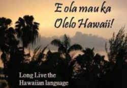 Hawaii State Languages