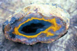Fortification (Kentucky) Agate