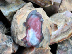 Missouri State Lithologic Emblem - Rock: Mozarkite
