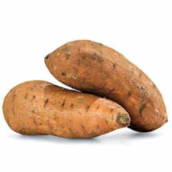 Sweet Potato