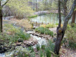 South Carolina Botanical Garden