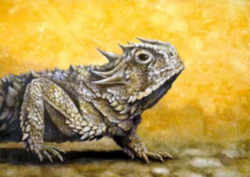 Wyoming State Reptile: Horned Toad