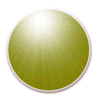 Birthday Color - Olive - Language of Colors - Your Birth Color