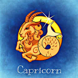 Capricorn (The Sea-goat)