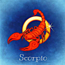 Scorpio (The Scorpion)