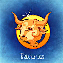 Taurus (The Bull)