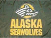 University of Alaska Flag