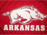 University of Arkansas Flag - Stadium