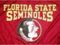 Florida State University Flag - Stadium