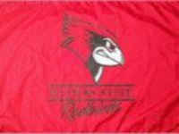 Illinois State Redbirds Flag - Stadium