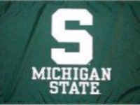 Michigan State University Flag - Stadium