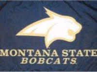 Montana State Bobcats Flag - Stadium