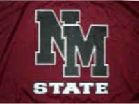 New Mexico State University Flag - Stadium