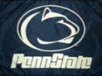 Penn State University Flag - Stadium