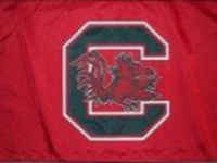 University of South Carolina Flag - Stadium