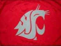 Washington State University Flag - Stadium