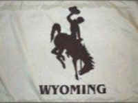 University of Wyoming Flag - Stadium