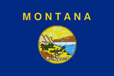 Montana State Flag