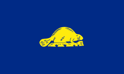 Oregon State Flag Reverse Side