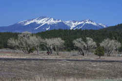 Humphreys Peak: 12,633 feet