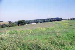 Charles Mound: 1,235 feet