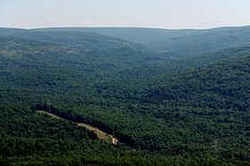 Taum Sauk Mountain: 1,772 feet