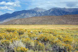  Boundary Peak: 13,140 feet