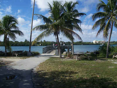 Florida Landscape