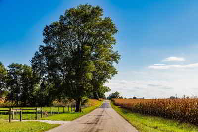 Indiana Landscape