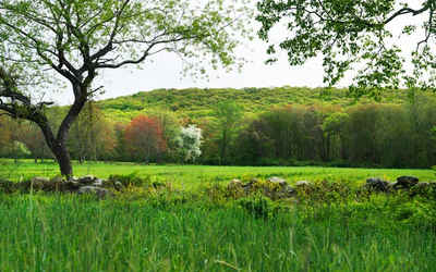 Rhode Island Landscape