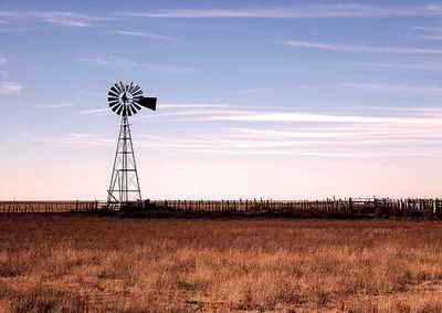 Texas Landscape