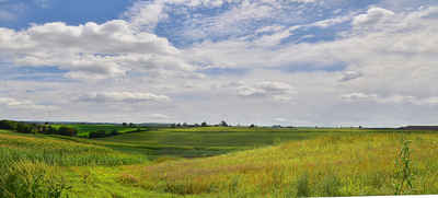 Wisconsin Landscape
